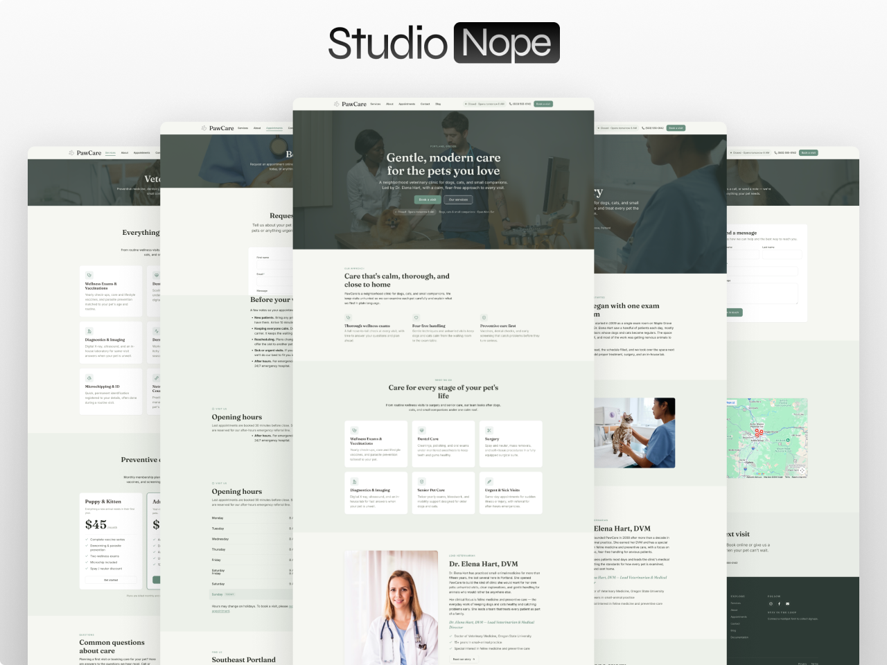 PawCare HubSpot CMS theme for veterinary clinics and animal hospitals